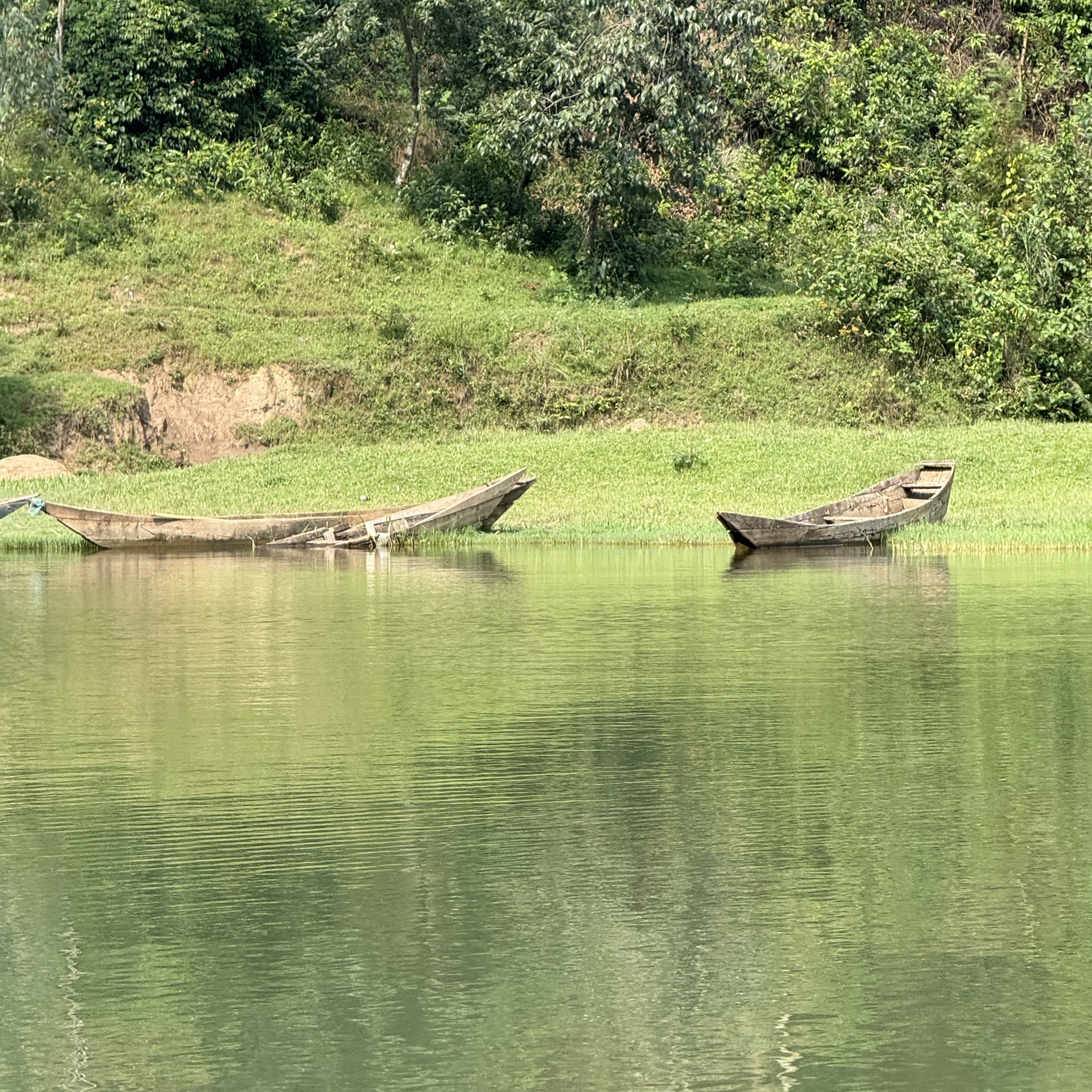 Rwanda Gisheke Natural(24/25年クロップ) | ORIGIN COUNTRIES for